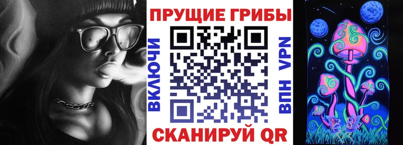 где купить наркоту  Кизилюрт  Псилоцибиновые грибы Psilocybine cubensis 